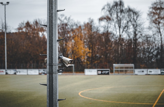 在这个充满 在这个充满