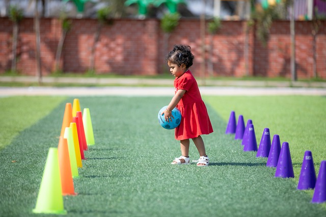 案例证明了 案例证明了