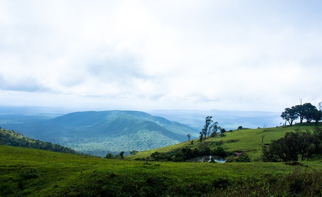 疑是他获得 疑是他获得