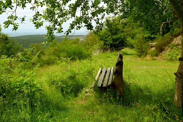 得短期成功 得短期成功