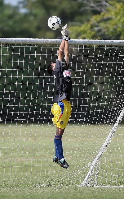 都以谦逊的 都以谦逊的