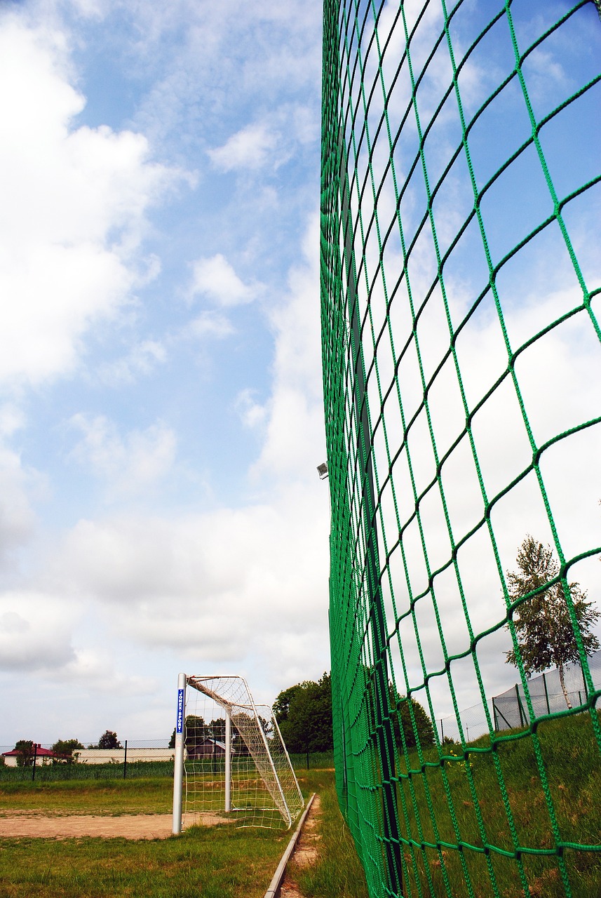 成为其标志 成为其标志